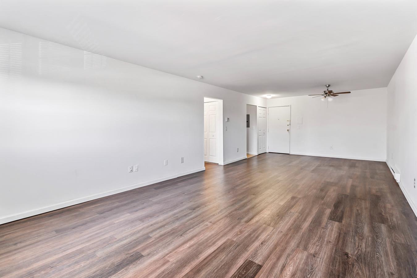 Gallery Photo 13